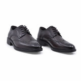 Pantofi barbati eleganti Goretti piele naturala B111-HT58801 maro