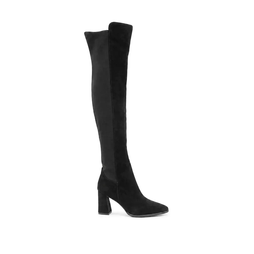 Cizme dama elegante Anna Viotti piele intoarsa D106-7H338-RH2099P-A negre